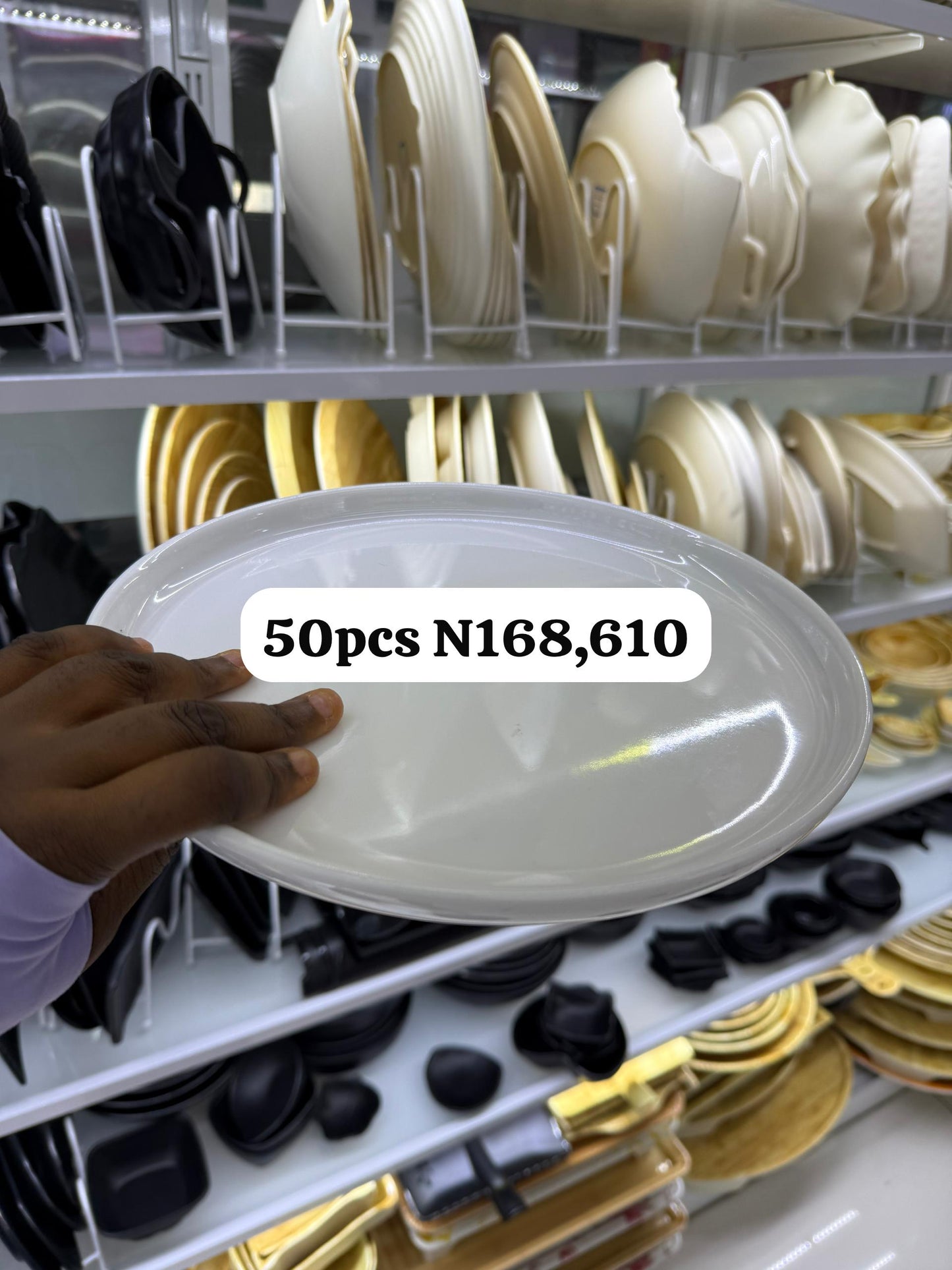 1 carton of PLATE design 06